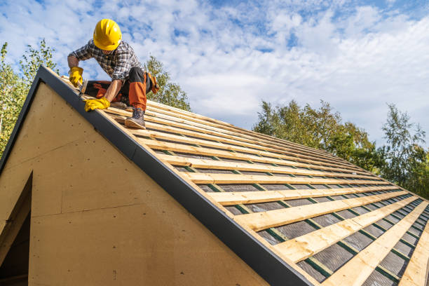 Best Gutter Installation and Roofing  in Brooksville, FL